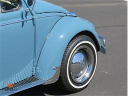1968 Volkswagen Beetle (CC-2072064) for sale in Mesa, Arizona