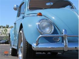 1968 Volkswagen Beetle (CC-2072064) for sale in Mesa, Arizona
