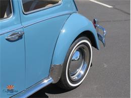 1968 Volkswagen Beetle (CC-2072064) for sale in Mesa, Arizona