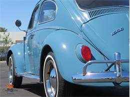 1968 Volkswagen Beetle (CC-2072064) for sale in Mesa, Arizona