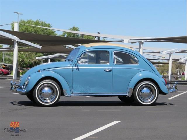 1968 Volkswagen Beetle (CC-2072064) for sale in Mesa, Arizona