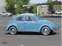 1968 Volkswagen Beetle (CC-2072064) for sale in Mesa, Arizona