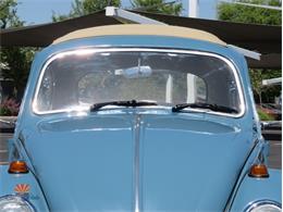 1968 Volkswagen Beetle (CC-2072064) for sale in Mesa, Arizona