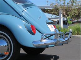 1968 Volkswagen Beetle (CC-2072064) for sale in Mesa, Arizona