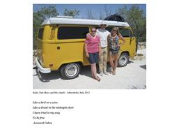 1976 Volkswagen Westfalia Camper (CC-2070207) for sale in Grass Valley, California
