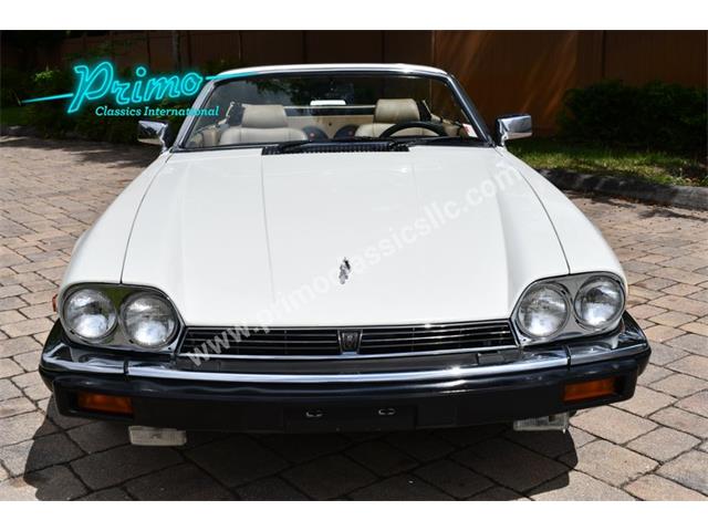 1988 Jaguar XJS (CC-2072075) for sale in Lakeland, Florida