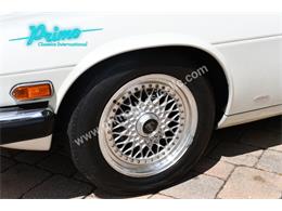 1988 Jaguar XJS (CC-2072075) for sale in Lakeland, Florida