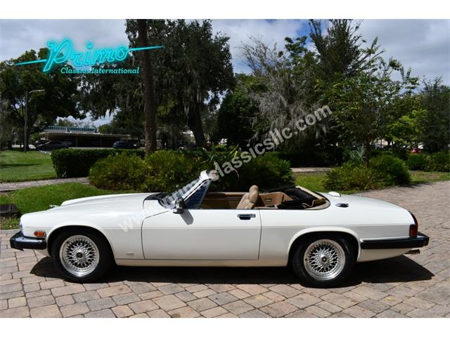 1988 Jaguar XJS (CC-2072075) for sale in Lakeland, Florida