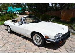 1988 Jaguar XJS (CC-2072075) for sale in Lakeland, Florida