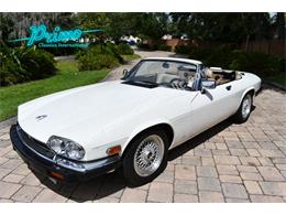 1988 Jaguar XJS (CC-2072075) for sale in Lakeland, Florida