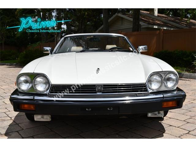 1988 Jaguar XJS (CC-2072075) for sale in Lakeland, Florida
