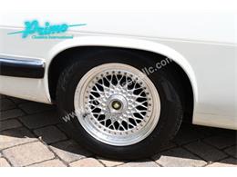 1988 Jaguar XJS (CC-2072075) for sale in Lakeland, Florida