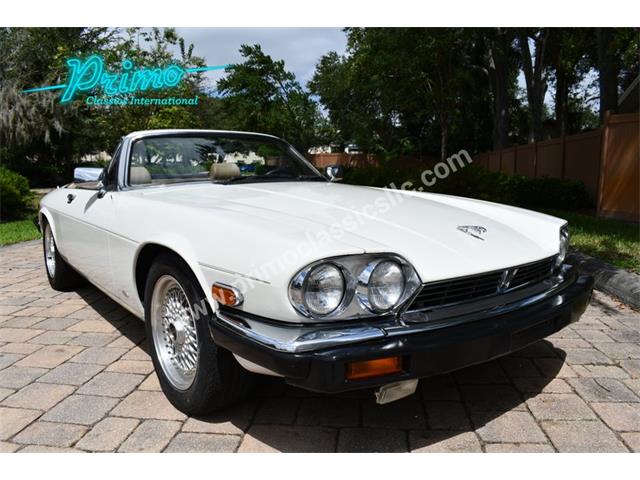 1988 Jaguar XJS (CC-2072075) for sale in Lakeland, Florida