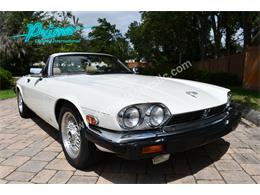 1988 Jaguar XJS (CC-2072075) for sale in Lakeland, Florida