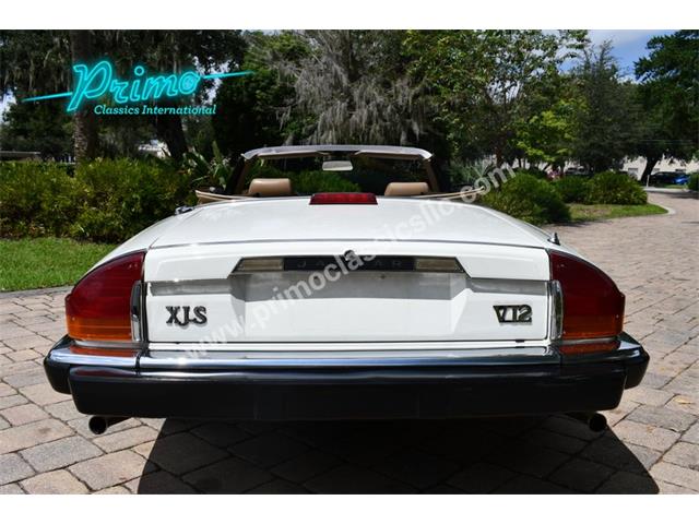 1988 Jaguar XJS (CC-2072075) for sale in Lakeland, Florida