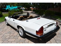 1988 Jaguar XJS (CC-2072075) for sale in Lakeland, Florida