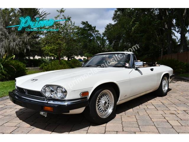 1988 Jaguar XJS (CC-2072075) for sale in Lakeland, Florida