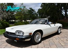 1988 Jaguar XJS (CC-2072075) for sale in Lakeland, Florida