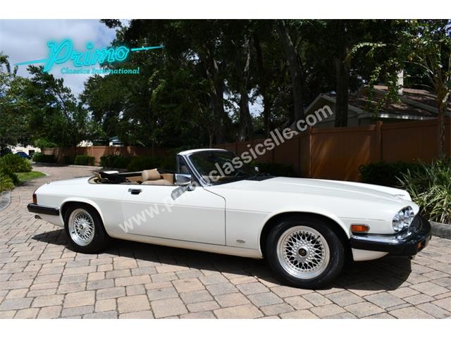 1988 Jaguar XJS (CC-2072075) for sale in Lakeland, Florida