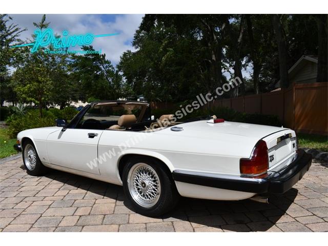 1988 Jaguar XJS (CC-2072075) for sale in Lakeland, Florida