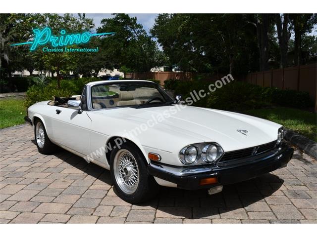 1988 Jaguar XJS (CC-2072075) for sale in Lakeland, Florida