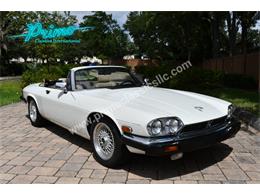 1988 Jaguar XJS (CC-2072075) for sale in Lakeland, Florida