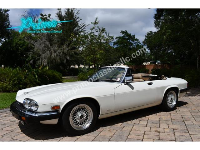 1988 Jaguar XJS (CC-2072075) for sale in Lakeland, Florida