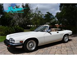 1988 Jaguar XJS (CC-2072075) for sale in Lakeland, Florida