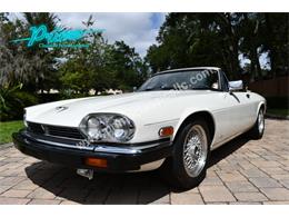 1988 Jaguar XJS (CC-2072075) for sale in Lakeland, Florida