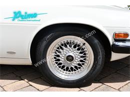 1988 Jaguar XJS (CC-2072075) for sale in Lakeland, Florida