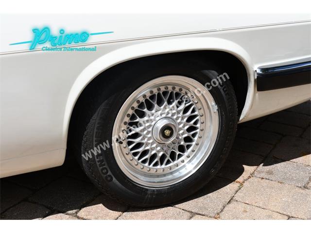 1988 Jaguar XJS (CC-2072075) for sale in Lakeland, Florida