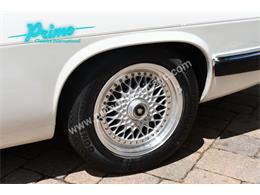 1988 Jaguar XJS (CC-2072075) for sale in Lakeland, Florida