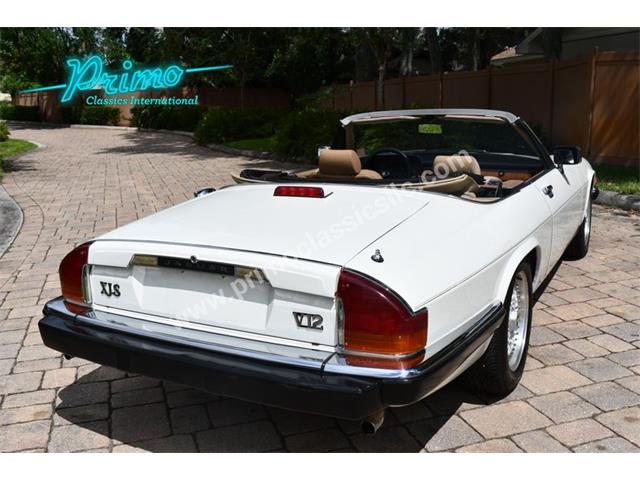 1988 Jaguar XJS (CC-2072075) for sale in Lakeland, Florida
