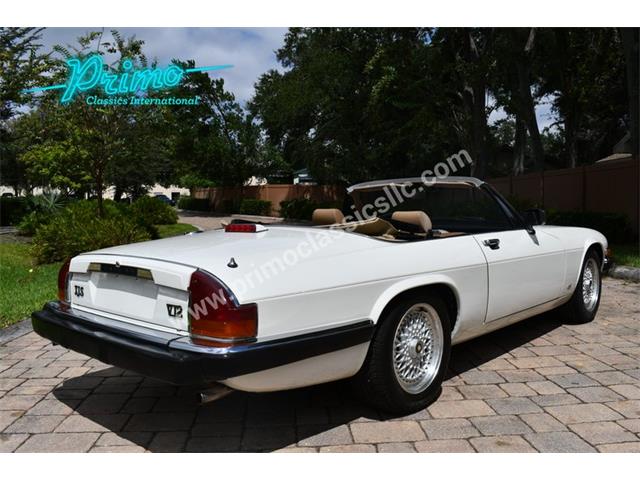 1988 Jaguar XJS (CC-2072075) for sale in Lakeland, Florida