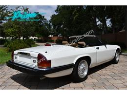 1988 Jaguar XJS (CC-2072075) for sale in Lakeland, Florida