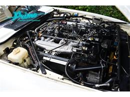 1988 Jaguar XJS (CC-2072075) for sale in Lakeland, Florida