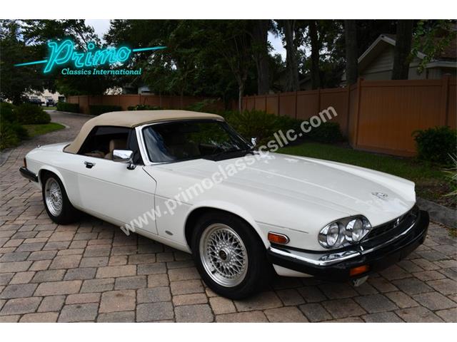 1988 Jaguar XJS (CC-2072075) for sale in Lakeland, Florida