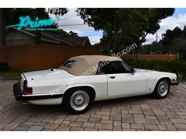 1988 Jaguar XJS (CC-2072075) for sale in Lakeland, Florida