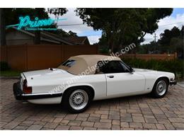 1988 Jaguar XJS (CC-2072075) for sale in Lakeland, Florida
