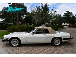1988 Jaguar XJS (CC-2072075) for sale in Lakeland, Florida