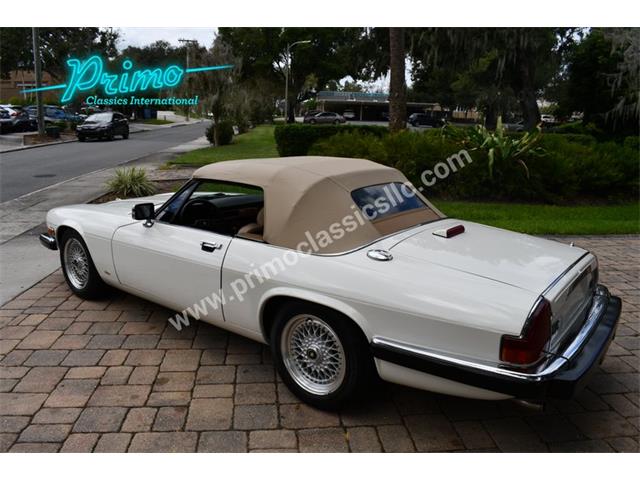 1988 Jaguar XJS (CC-2072075) for sale in Lakeland, Florida