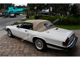 1988 Jaguar XJS (CC-2072075) for sale in Lakeland, Florida