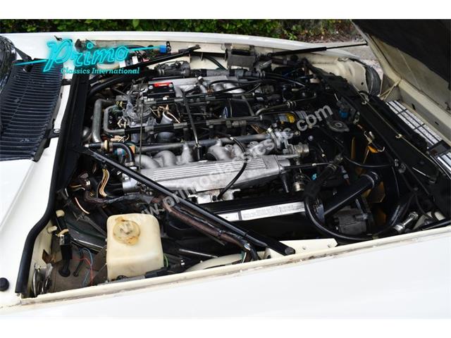 1988 Jaguar XJS (CC-2072075) for sale in Lakeland, Florida