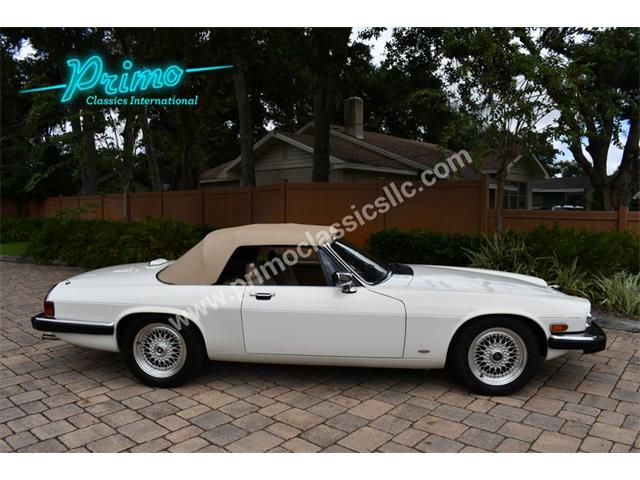 1988 Jaguar XJS (CC-2072075) for sale in Lakeland, Florida
