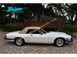 1988 Jaguar XJS (CC-2072075) for sale in Lakeland, Florida