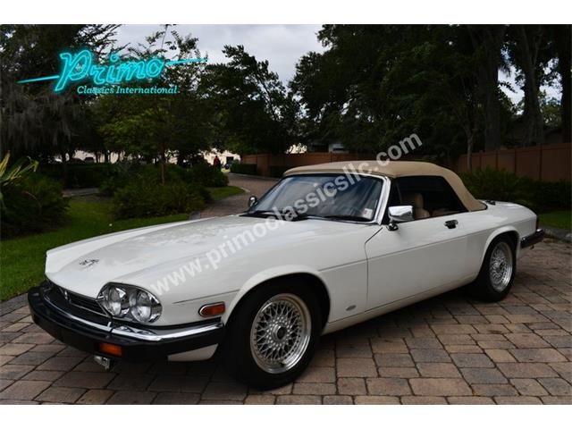 1988 Jaguar XJS (CC-2072075) for sale in Lakeland, Florida