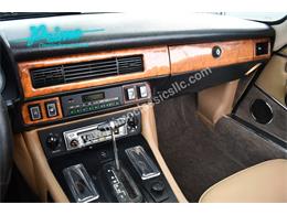 1988 Jaguar XJS (CC-2072075) for sale in Lakeland, Florida