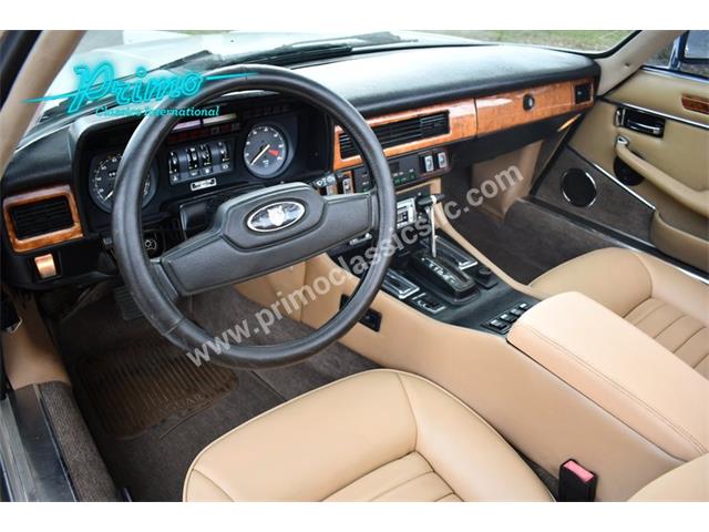 1988 Jaguar XJS (CC-2072075) for sale in Lakeland, Florida