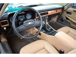 1988 Jaguar XJS (CC-2072075) for sale in Lakeland, Florida