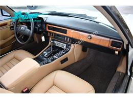 1988 Jaguar XJS (CC-2072075) for sale in Lakeland, Florida